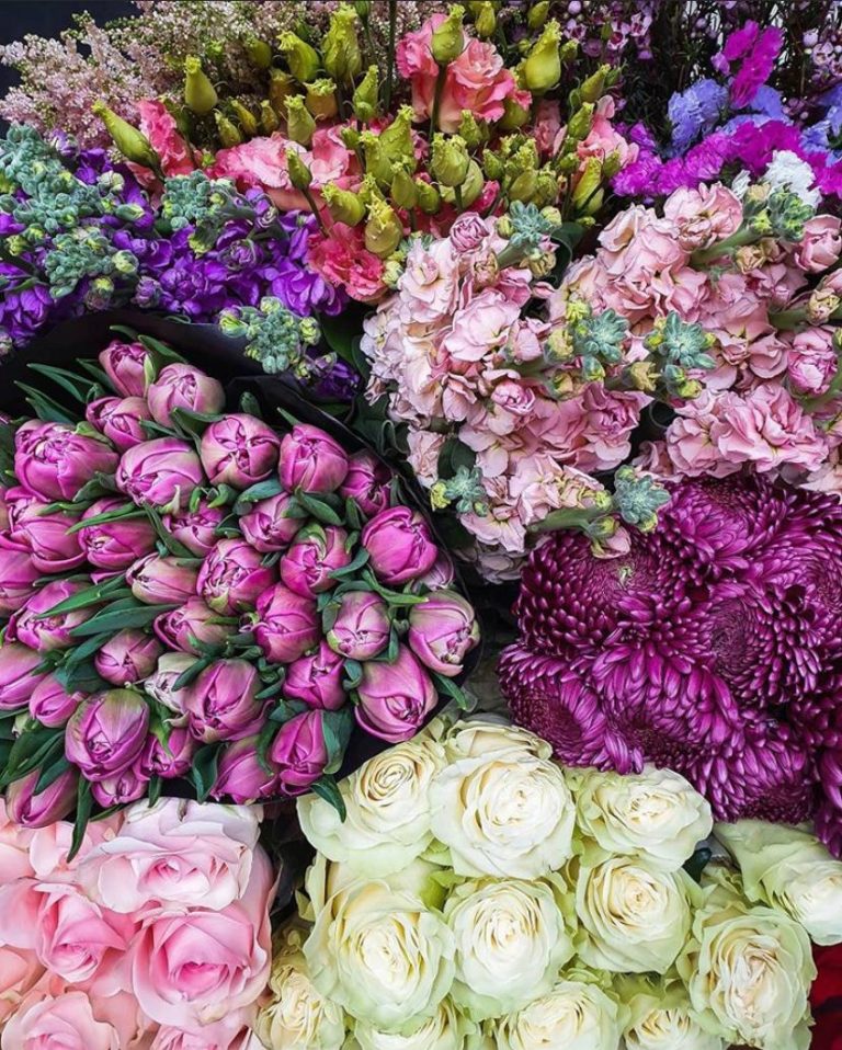 Vita Flowers, фото