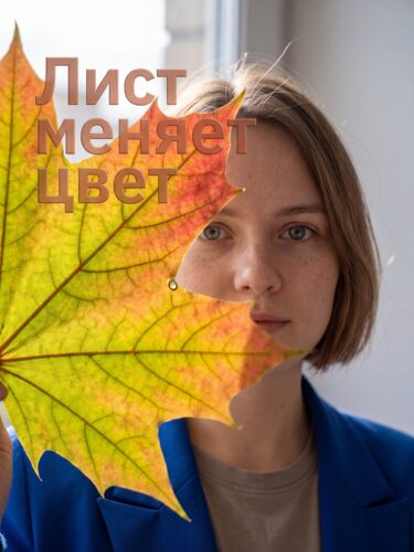 Почему листья желтеют и краснеют осенью